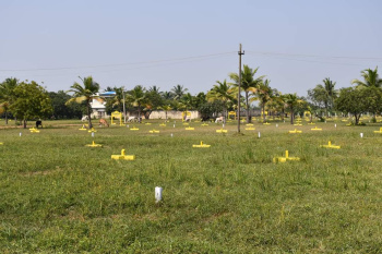 Residential Plot for Sale in Thamaraipakkam, Chennai (1000 Sq.ft.)