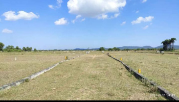 Residential Plot for Sale in Acharapakkam, Kanchipuram (1000 Sq.ft.)