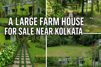 Individual Houses for Sale in Rajarhat, Kolkata (60 Katha)