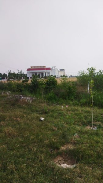 10 Acre Industrial Land / Plot for Sale in Nawanshahr