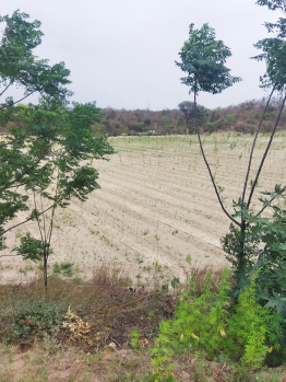 Property for sale in Ropar, Rupnagar