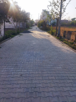 2 BHK Builder Floor for Rent in Machhiwara, Ludhiana (1800 Sq.ft.)