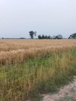 One Acre Fertile Agriculture Land Near Ropar