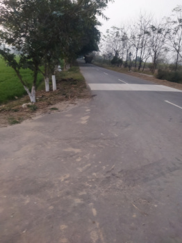 Agricultural/Farm Land for Sale in Rahon, Nawanshahr (2 Acre)