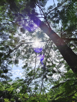 Property for sale in Sangolda, Goa