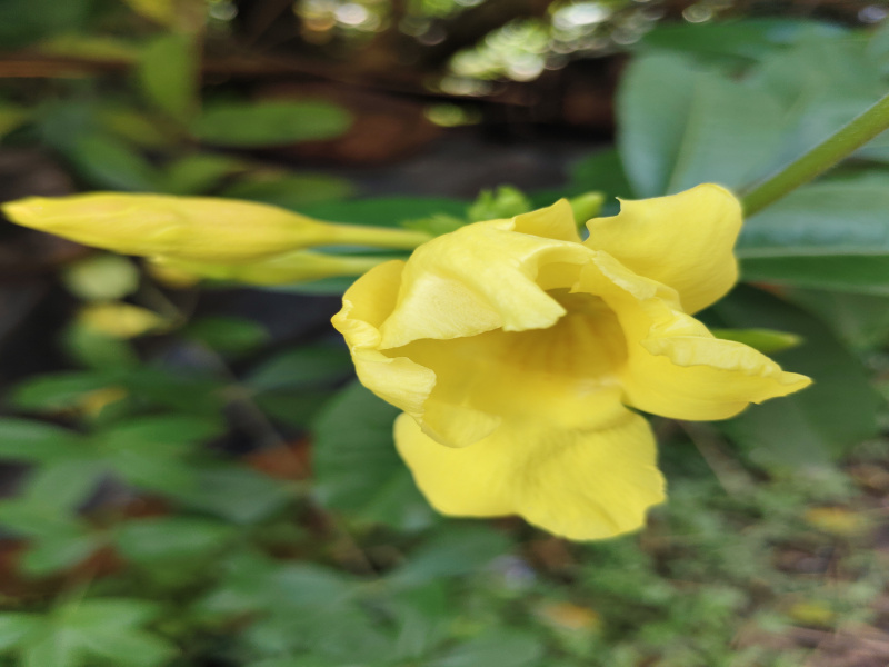 Airbnb Architect's Dream A High Ceiling 2BHK With A Paddy Field View