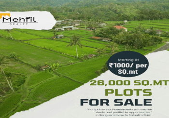 Enormous 26,000 SQ.mt Land is Now For Sale in Sanguem