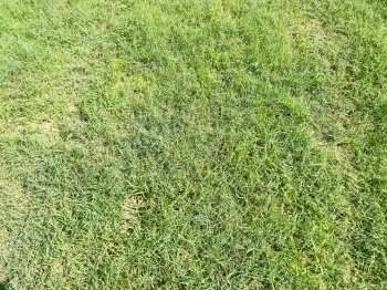 Property for sale in Bihta, Patna