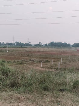 1200 Sq.ft. Agricultural/Farm Land for Sale in Bihta, Patna