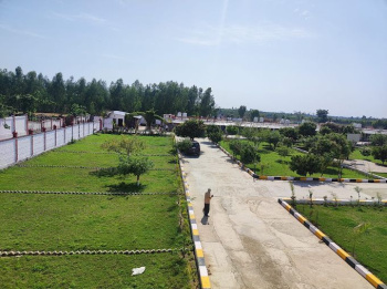 1800 Sq.ft. Residential Plot for Sale in Bikram, Patna