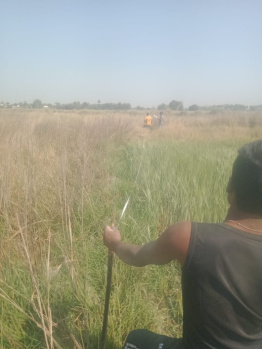 Property for sale in Naubatpur, Patna