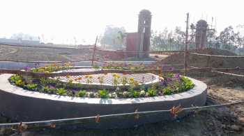 Residential Plot for Sale in Sultanpur Road, Lucknow (800 Sq.ft.)