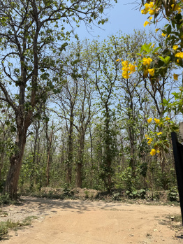 Property for sale in Bail Parao, Nainital