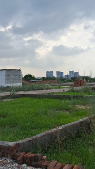 Residential Plot for Sale in Sector 115, Noida (100 Sq. Yards)