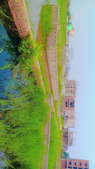 Property for sale in Danapur, Patna