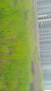 Property for sale in Danapur, Patna