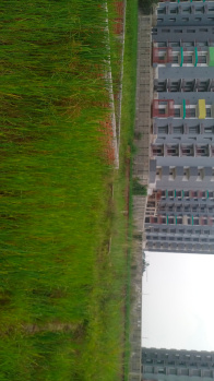 Property for sale in Khagaul, Patna