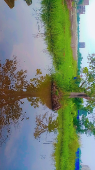 Property for sale in Khagaul, Patna