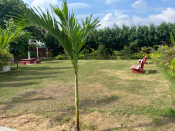 Property for sale in Sirohi, Faridabad