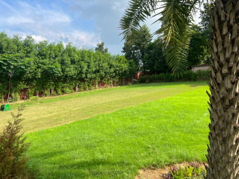 Property for sale in Sirohi, Faridabad
