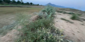 Property for sale in Pushkar, Ajmer