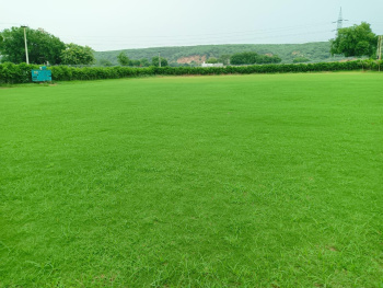 Farm Land In Badshahpur Gurugram