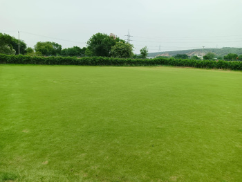 Property for sale in Badshahpur, Gurgaon