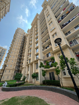 2 BHK Flats & Apartments for Rent in Sohna Road, Gurgaon (693 Sq.ft.)