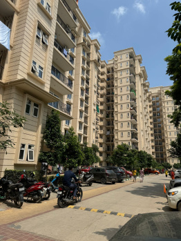 2 BHK Flats & Apartments for Sale in Sohna, Gurgaon (950 Sq.ft.)