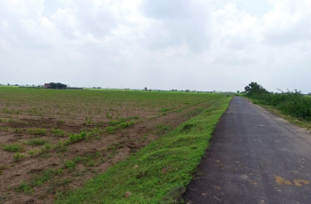 2100 Sq. Yards Industrial Land / Plot for Sale in Palwal, Faridabad