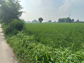 7 Acre Agricultural/Farm Land for Sale in Aligarh Road, Palwal