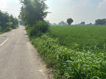 Property for sale in Aligarh Road, Palwal