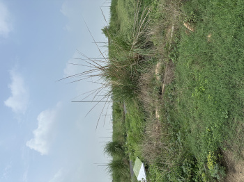 Residential Plot for Sale in Gautam Buddha Nagar (300 Sq. Meter)