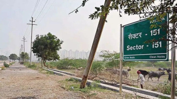 Residential Plot for Sale in Sector 151, Noida (162 Sq. Meter)