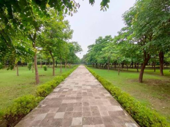 Residential Plot for Sale in Sector 46, Noida (450 Sq. Meter)
