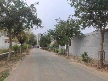 Residential Plot for Sale in Sector 130, Noida (230 Sq. Meter)