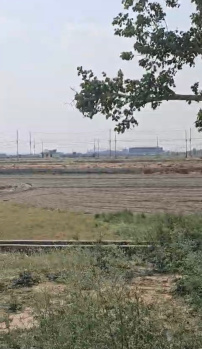 Residential Plot for Sale in Yamuna Expressway, Greater Noida (300 Sq. Meter)