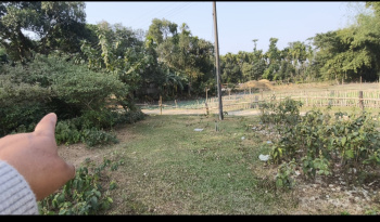 2bigha General land for sale in Naxalbari area ,