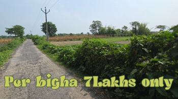 10 bigha general Land for sale