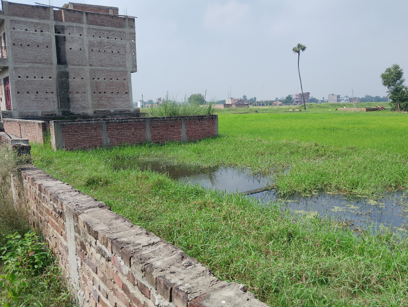 Plot Available In Patna Bhojipur