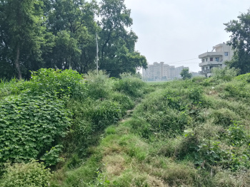 Property for sale in Jaganpura Road, Patna