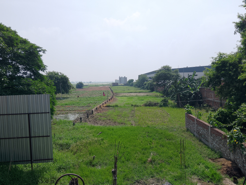 1360 Sq.ft. Residential Plot For Sale In Sampatchak, Patna