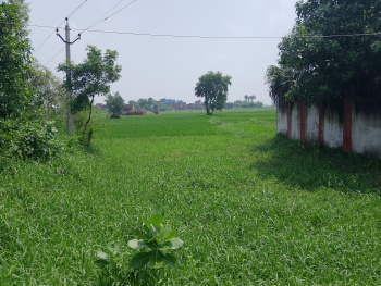 4 Katha Residential Plot for Sale in Dariyapur, Patna