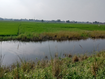 Plot for sale in Daniawan Patna