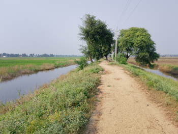 Property for sale in Beldari Chak, Patna