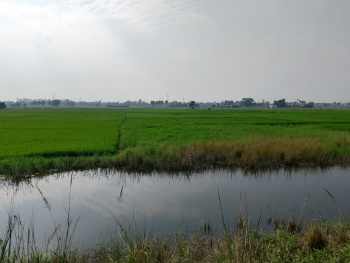 Property for sale in Beldari Chak, Patna