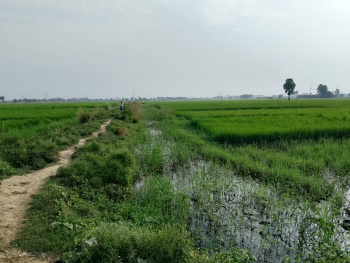 Property for sale in Beldari Chak, Patna