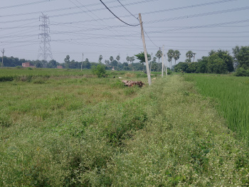 Property for sale in Sampatchak, Patna