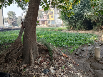 Property for sale in Pahari, Patna