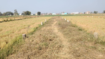 Property for sale in Punpun, Patna